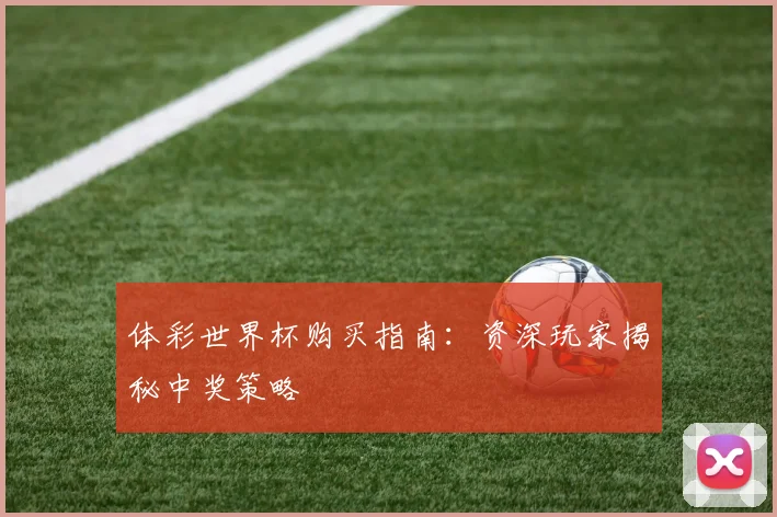 体彩世界杯购买指南：资深玩家揭秘中奖策略