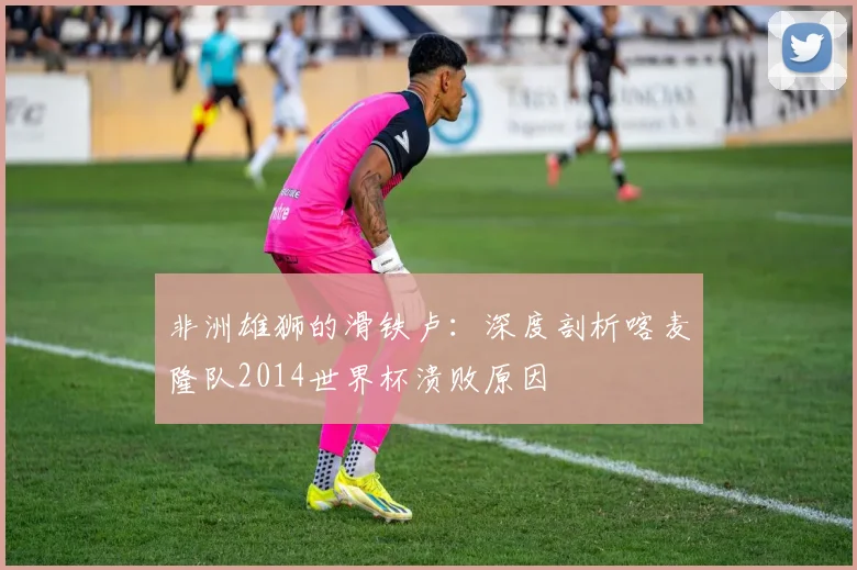 非洲雄狮的滑铁卢：深度剖析喀麦隆队2014世界杯溃败原因