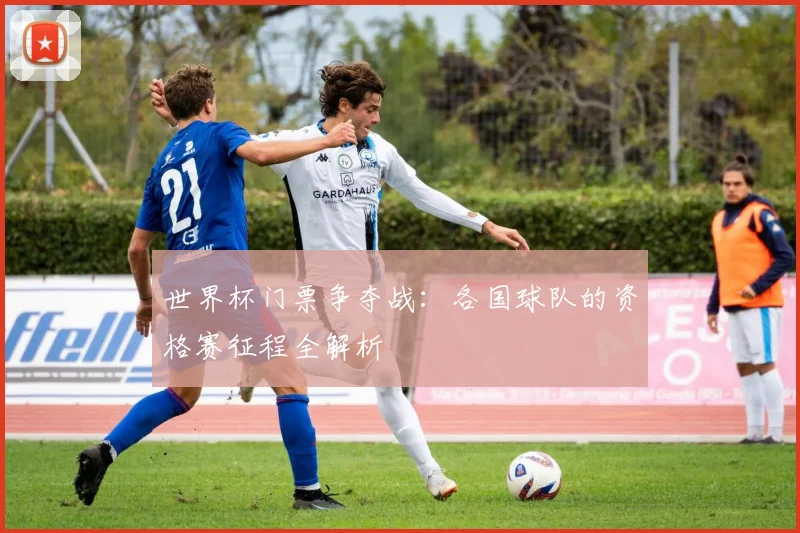 世界杯门票争夺战：各国球队的资格赛征程全解析