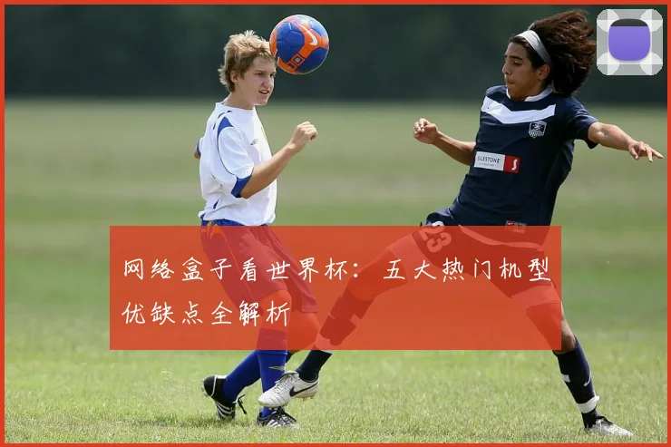 网络盒子看世界杯：五大热门机型优缺点全解析